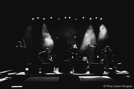 Kjer raste kultura (13)